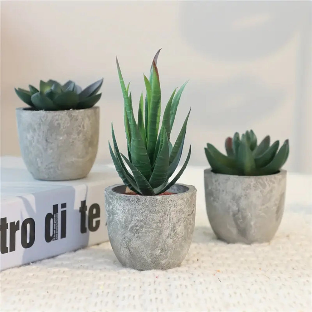 Verdea Artificial Succulent Plant Decor