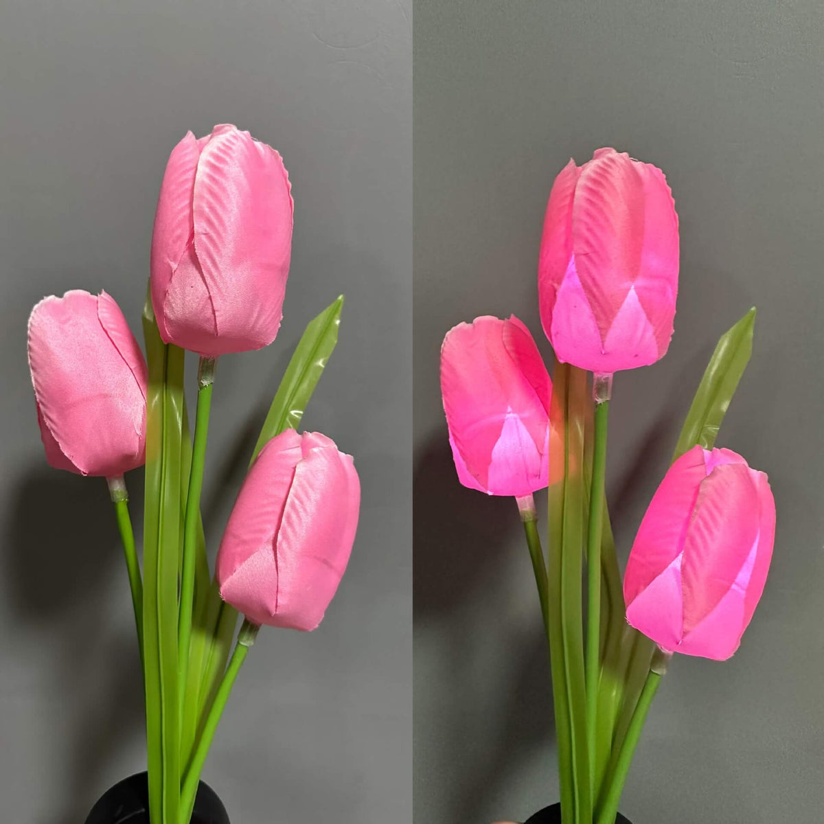 Solar LED Tuinlamp met Tulp Design – Roze/Paars/Blauw/Geel – (1 LED)