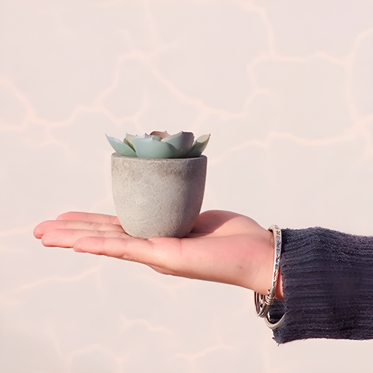 Verdea Artificial Succulent Plant Decor
