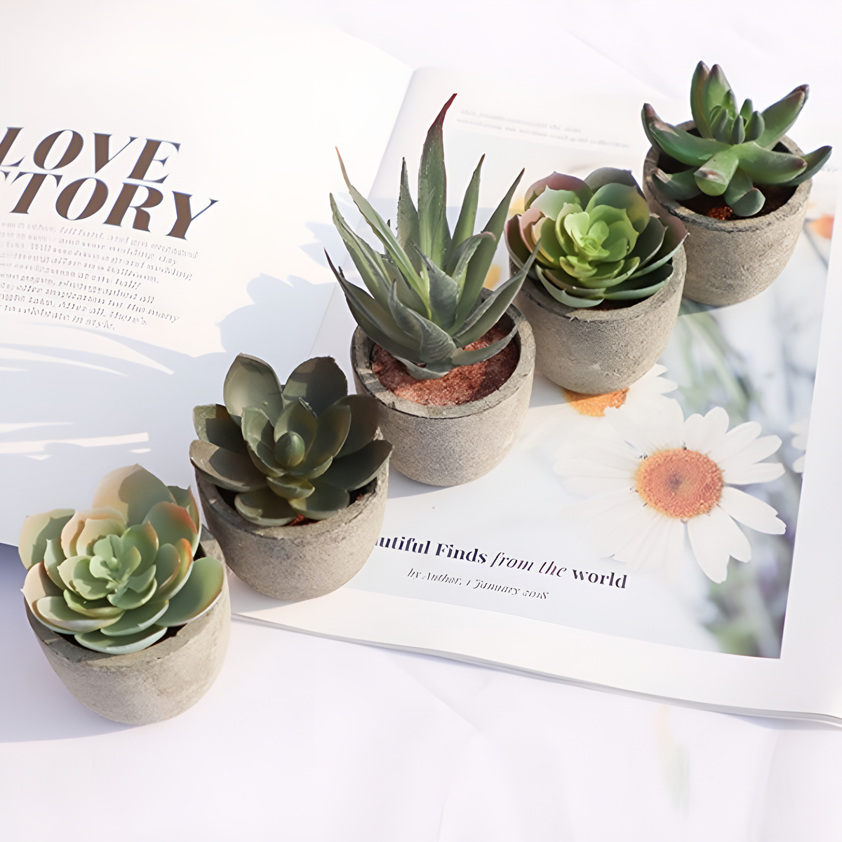 Verdea Artificial Succulent Plant Decor