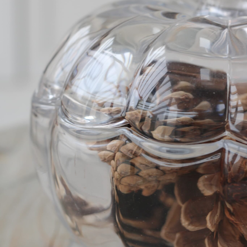 Glass Pumpkin Jar Tempered Glass Clear Decorative Container