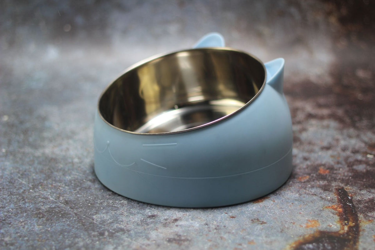 Tilted Cat Feeding Bowl with Stainless Steel Insert
