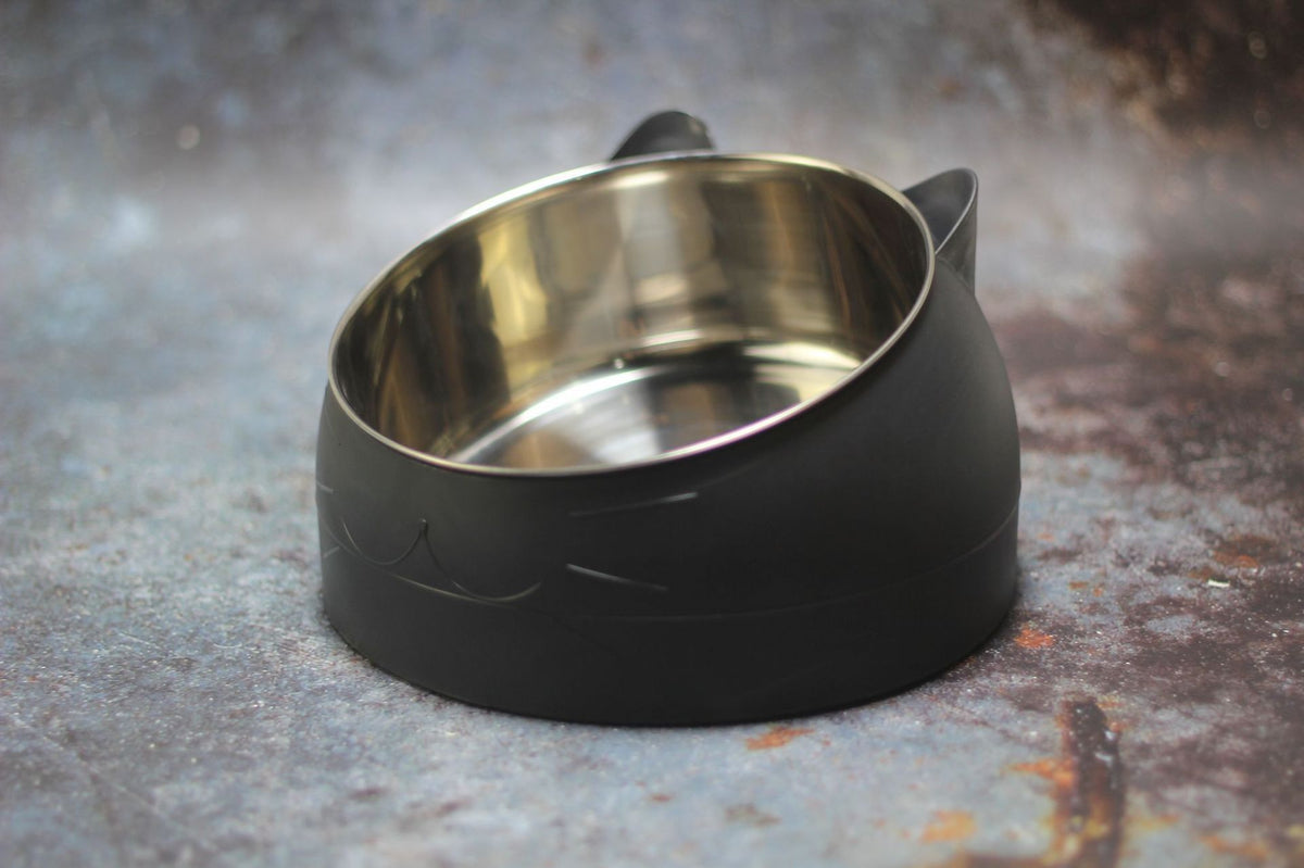 Tilted Cat Feeding Bowl with Stainless Steel Insert