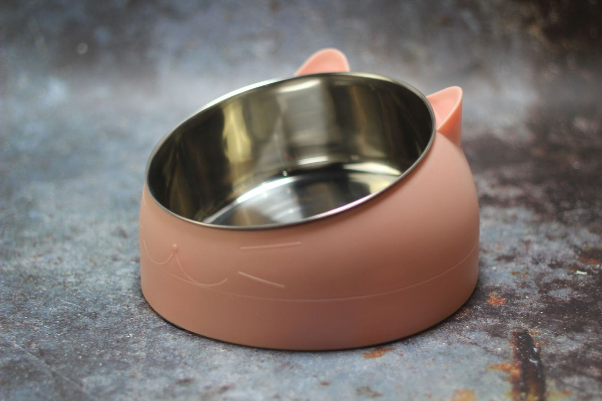 Tilted Cat Feeding Bowl with Stainless Steel Insert