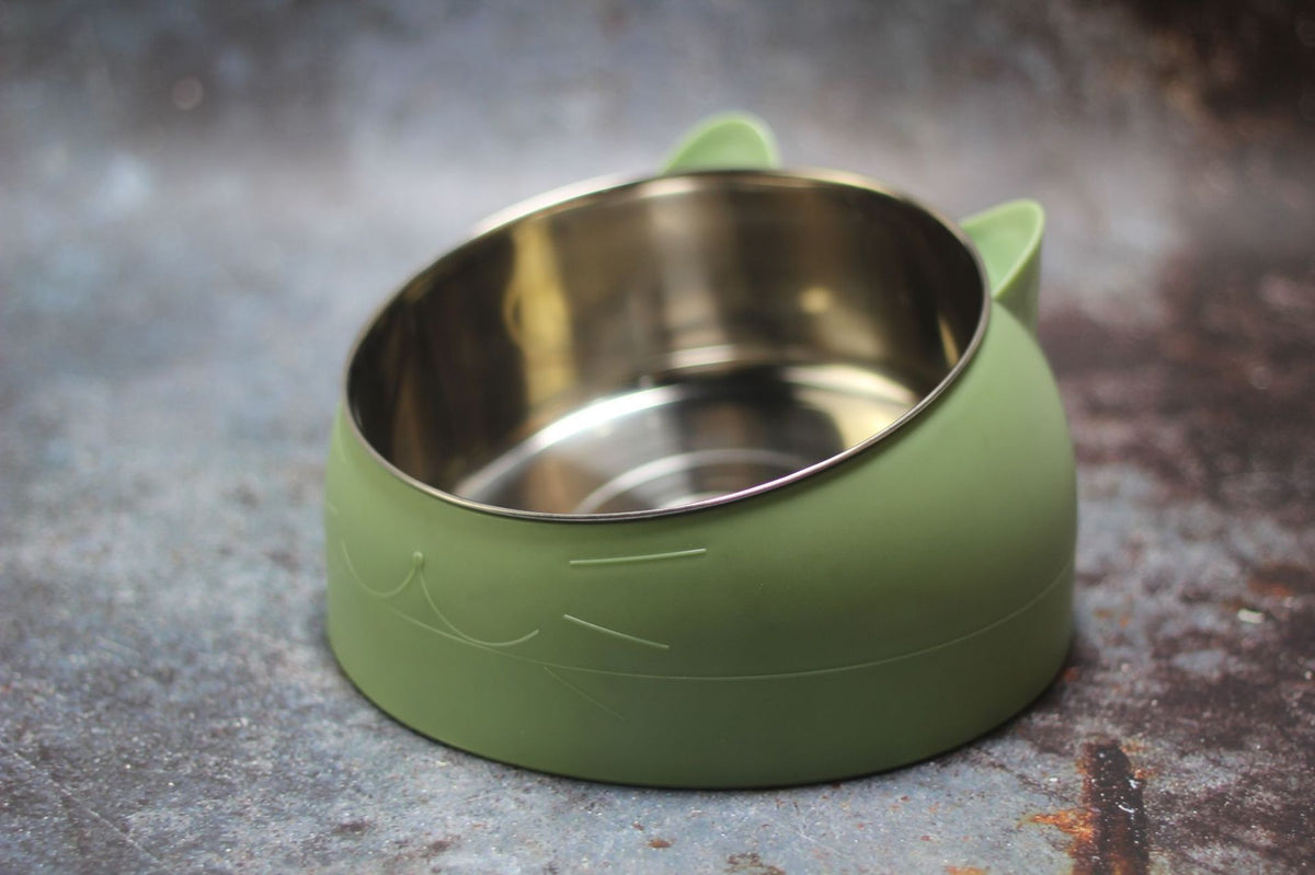 Tilted Cat Feeding Bowl with Stainless Steel Insert