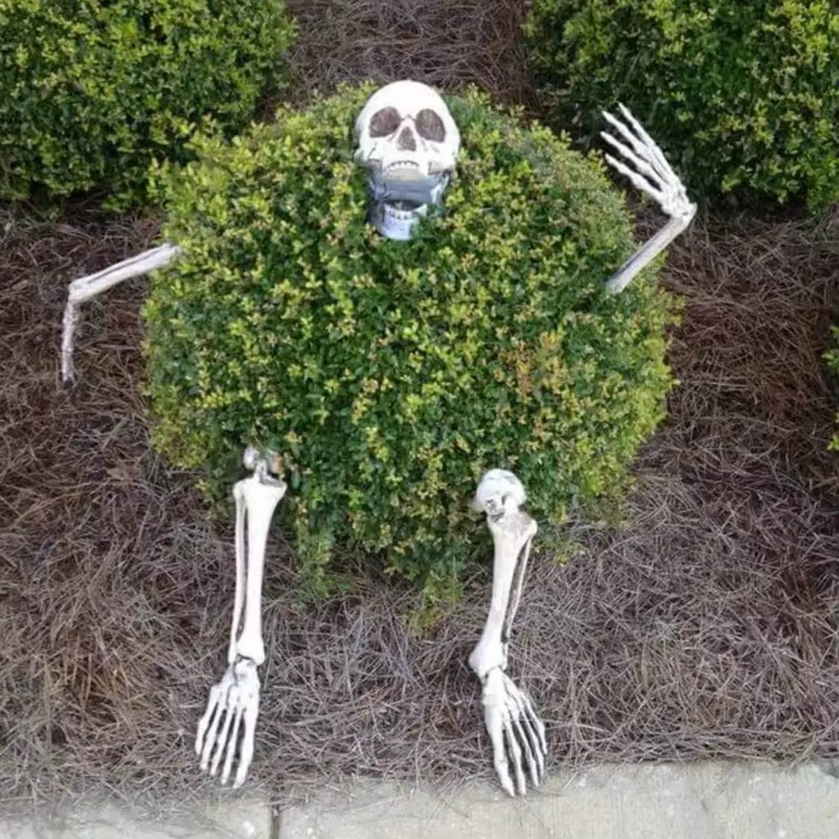 Skeleton Lawn Stakes Plastic and Metal Bone White Halloween Decor