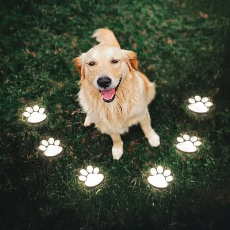 Solar Pootafdruk Lamp – Gezellige Tuinverlichting voor Dierenliefhebbers